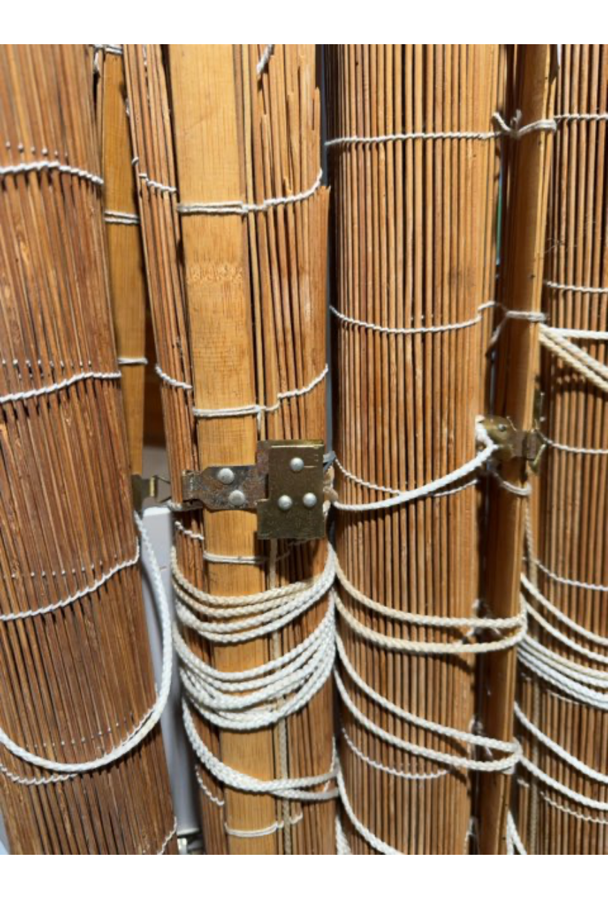 Bambus gardin